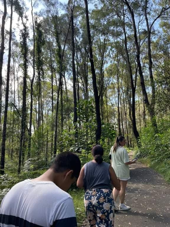 A small group on a nature walk along a bush track