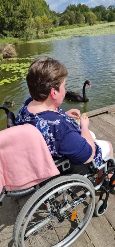 A woman in a wheelchair watches a black swan from a lakeside boardwalk